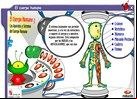 juego del cuerpo humano